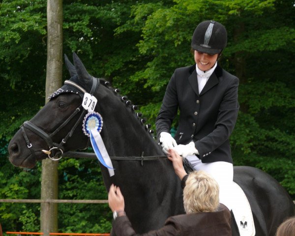 horse Sambuco 30 (Württemberger, 2006, from Sunny-Boy)
