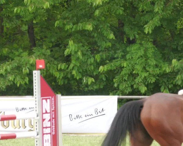 Reitturnier Leingarten 2022