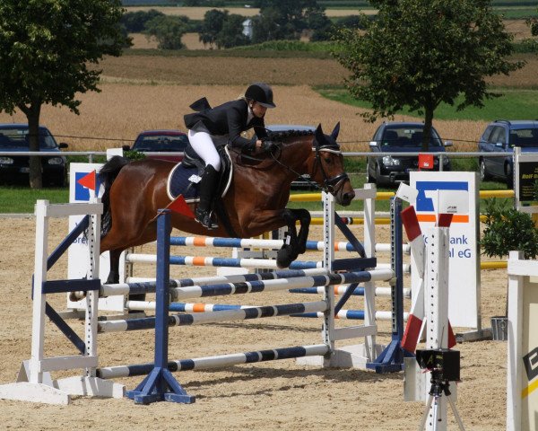 Dressurpferd Coralie (Oldenburger, 2006, von Coreggio)