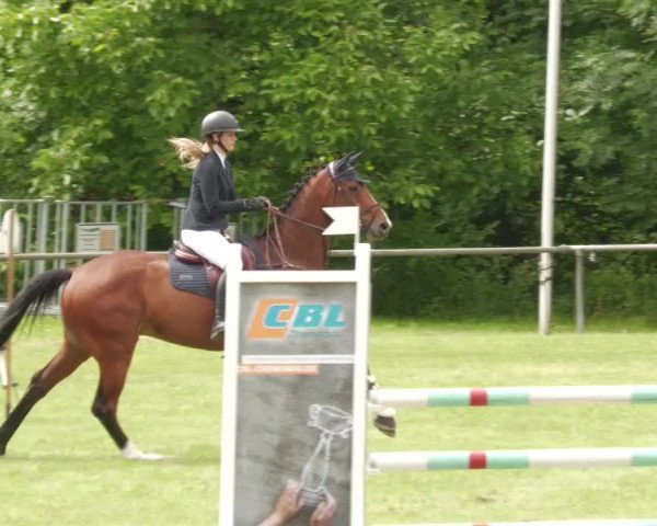 Reitturnier Leingarten 2022
