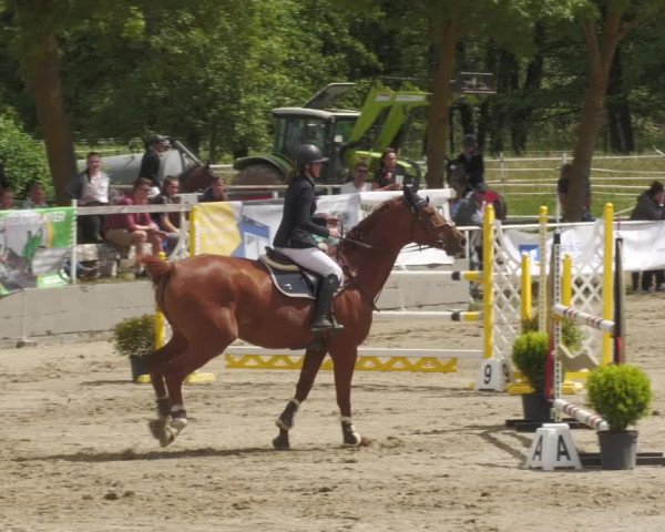 Reitturnier Billigheim 2022