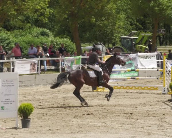 Reitturnier Billigheim 2022