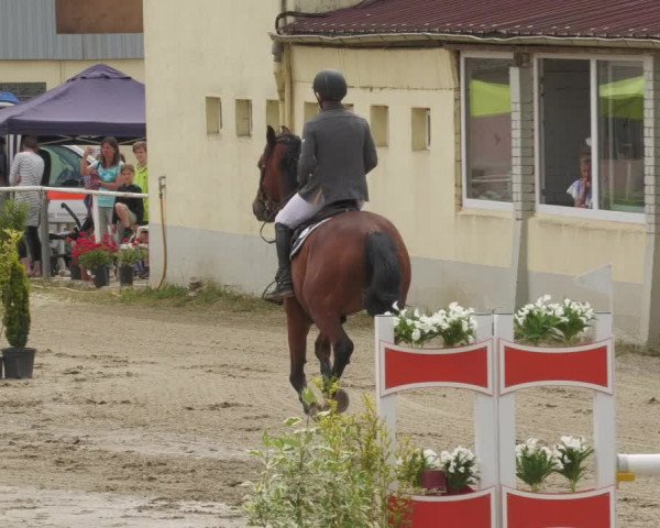 Reitturnier Billigheim 2022