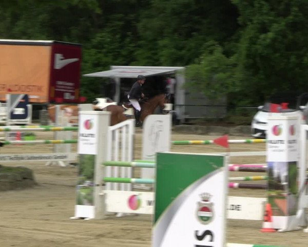 Reitturnier Hellefeld 2022