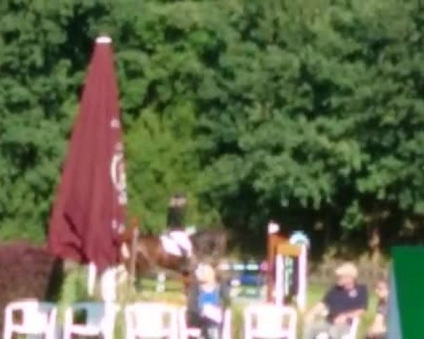 Video of Belle Amour 3