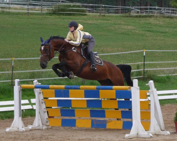 Springhest C'est la vie 106 (Hannoveraner, 2002, fra Cheenook)