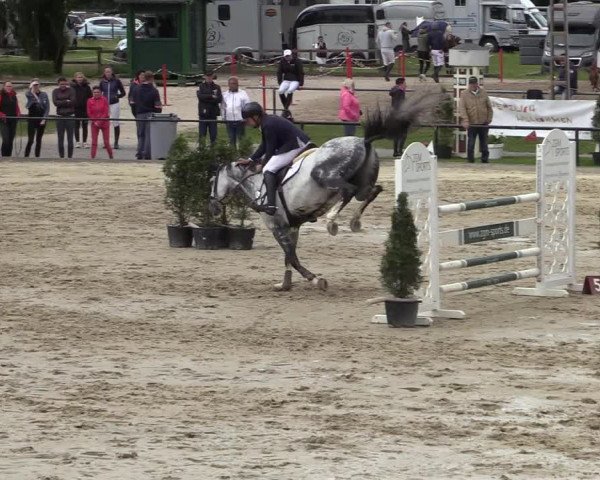 Reitturnier Hamm-Rhynern 2022