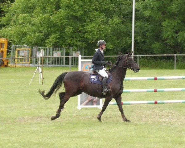Reitturnier Leingarten 2022