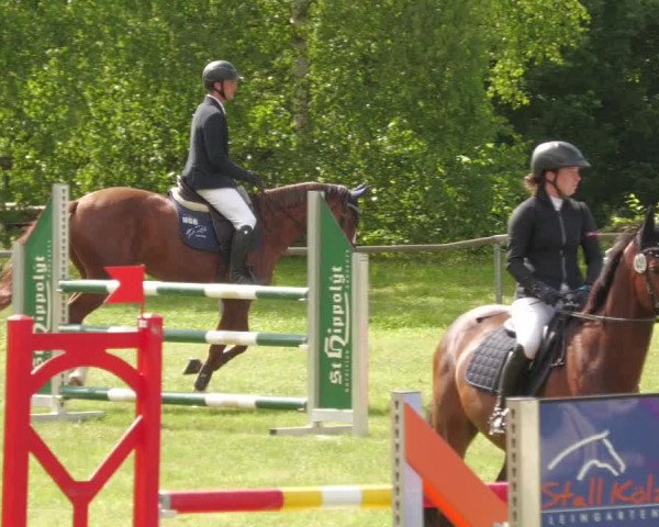 Reitturnier Leingarten 2022