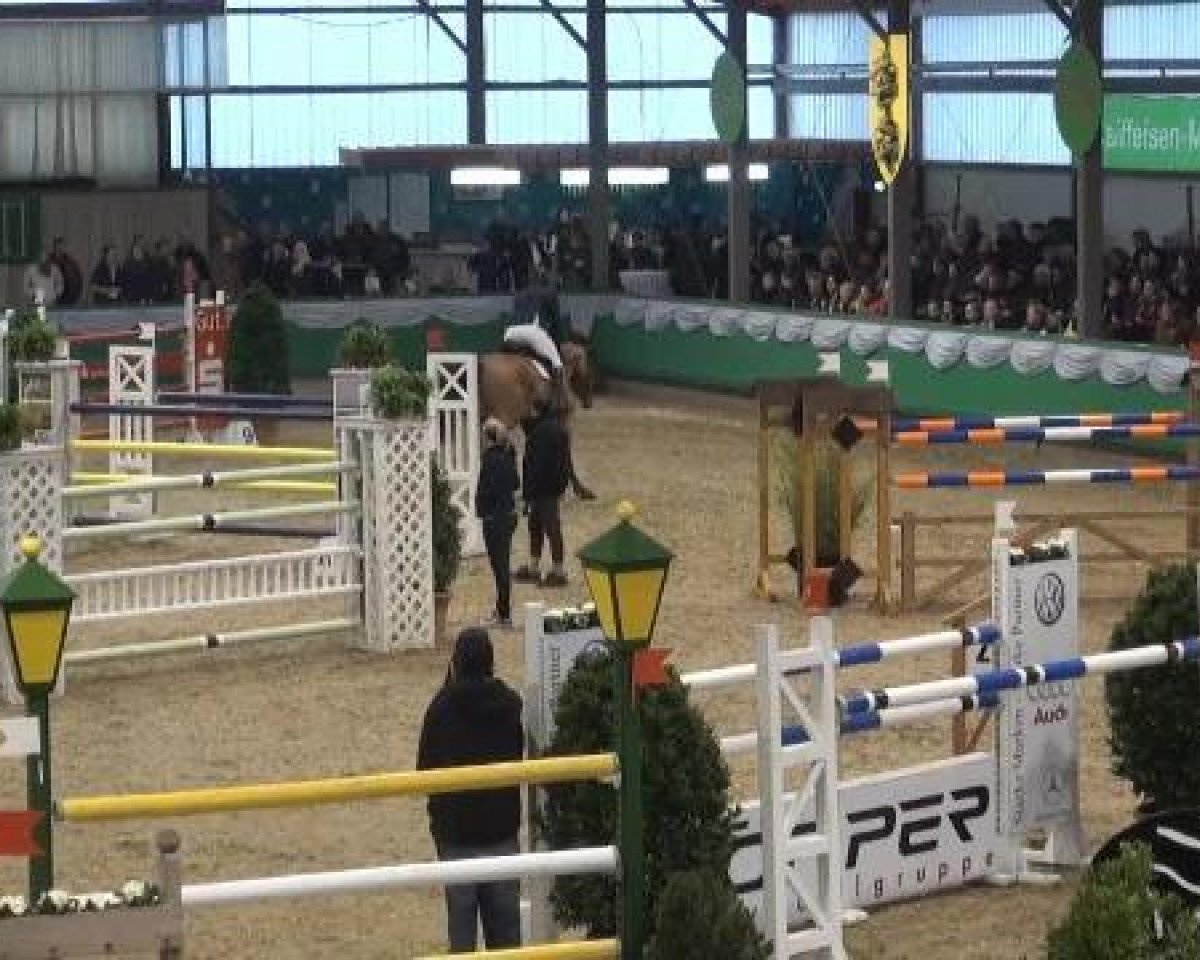 Chovná klisna Jackie 30 (Oldenburský kůň, 2005, od Argentinus) - Hallenturnier Gahlen 04.-06.01.2013 06.01.2013
11 Springprfg. Kl. S** m.St.
