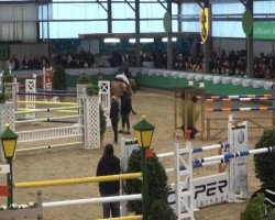 broodmare Jackie 30 (Oldenburg, 2005, from Argentinus)