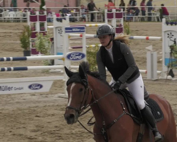 Reitturnier Billigheim 2022