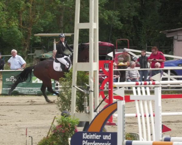 Reitturnier Billigheim 2022