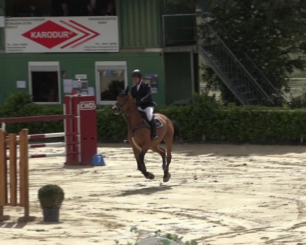 Reitturnier Bornheim-Widdig 2022
