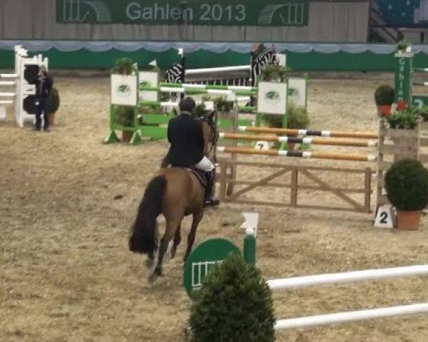 jumper Amalia 13 (KWPN (Royal Dutch Sporthorse), 2005, from Kojak)