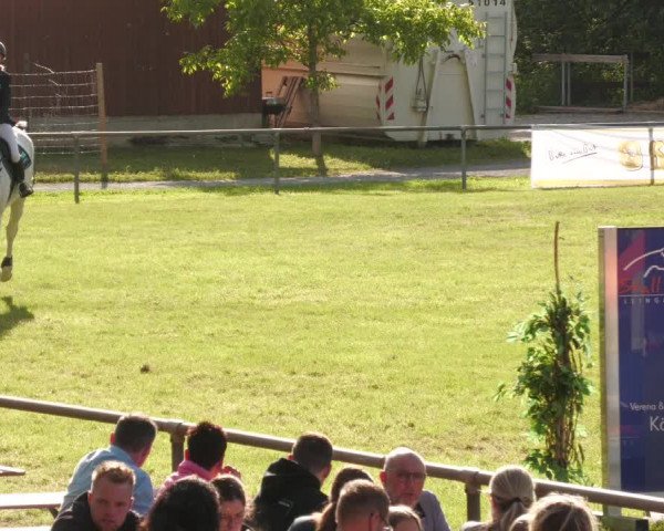 Reitturnier Leingarten 2022