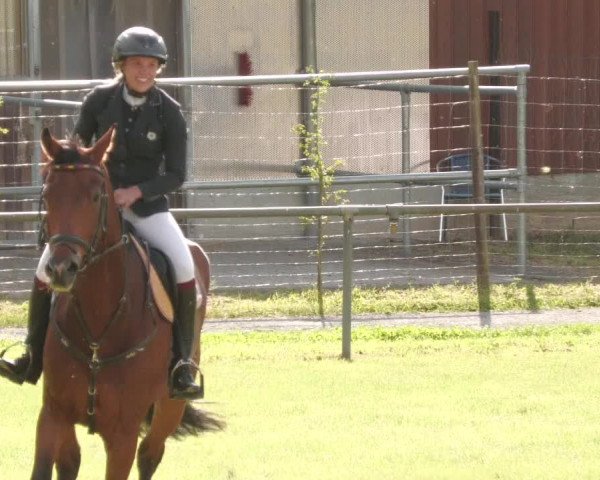 Reitturnier Leingarten 2022