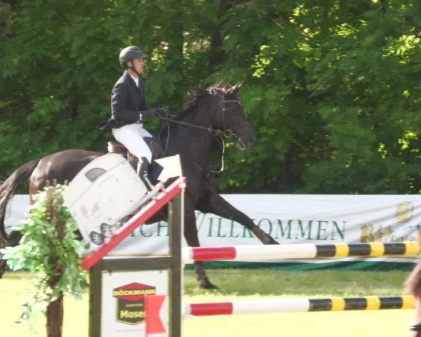 Reitturnier Leingarten 2022