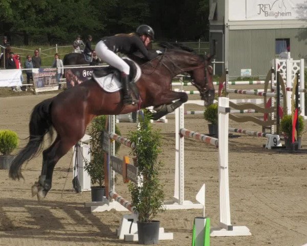 Reitturnier Billigheim 2022