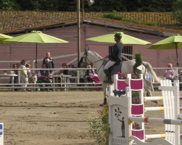 Reitturnier Billigheim 2022