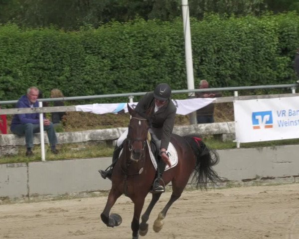 Reitturnier Billigheim 2022