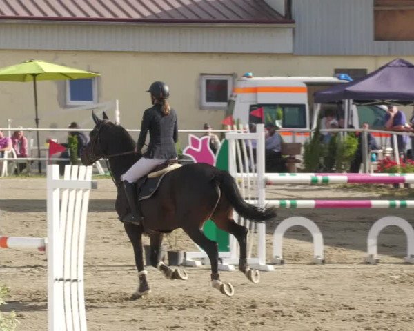 Reitturnier Billigheim 2022