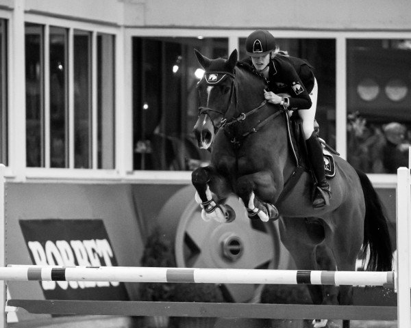 jumper Cochise F (Holsteiner, 2003, from Corofino II)