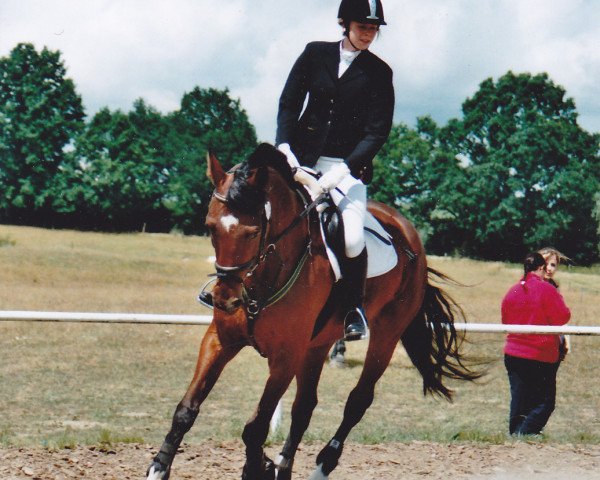 dressage horse Delarco (Trakehner, 2002, from Lamarc)