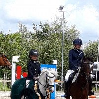 jumper Arielle (Welsh-Pony (Section B), 2012)