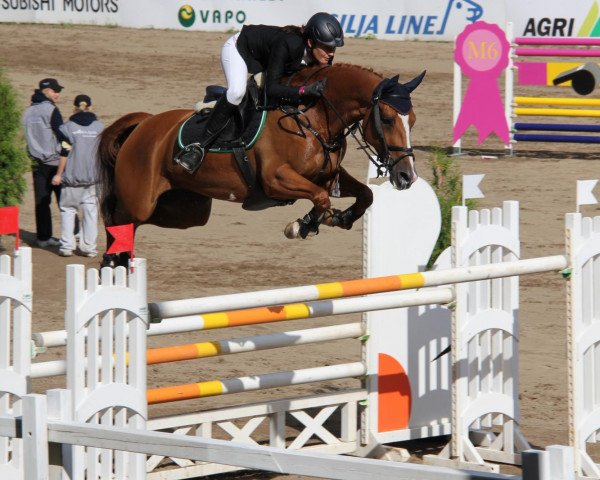 jumper Fim Fräulein Smilla 4 (Hessian Warmblood, 1998, from Fighting Alpha)