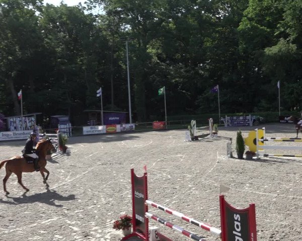 Reitturnier Klein Roscharden 2022