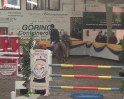 jumper Aurea LS La Silla (Mexican Riding Horse, 2000, from Montealban La Silla)