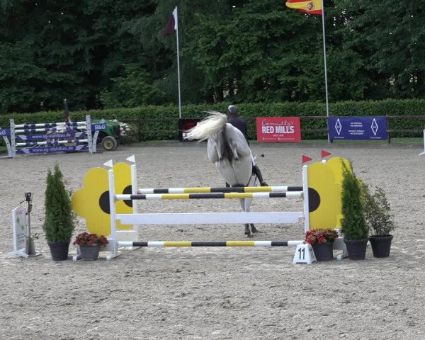 Reitturnier Klein Roscharden 2022