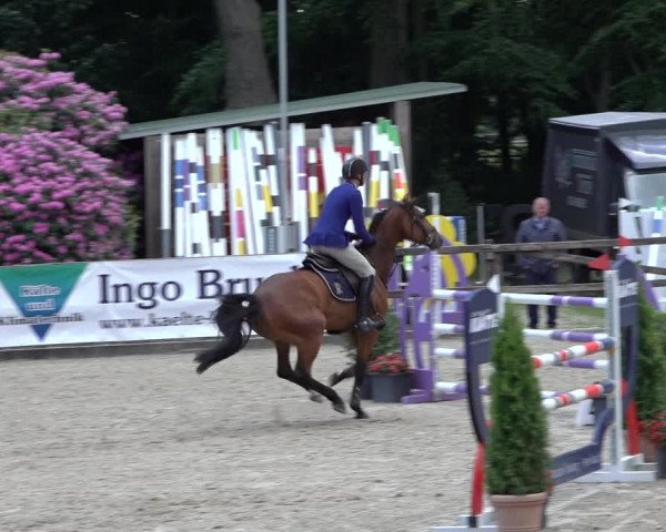 Reitturnier Klein Roscharden 2022