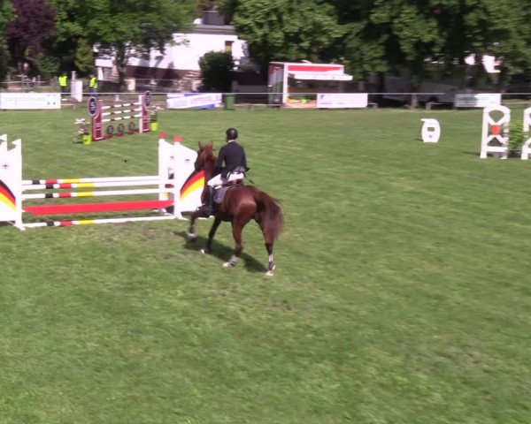Reitturnier Königsborn 2022