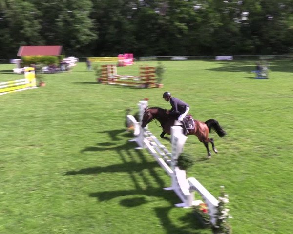 Reitturnier Königsborn 2022
