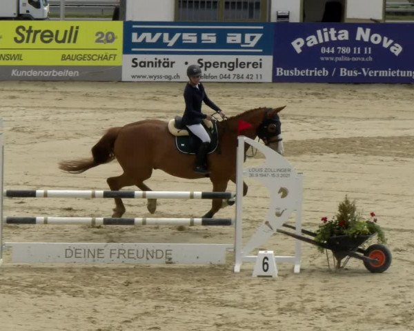 Reitturnier Wädenswil 2022
