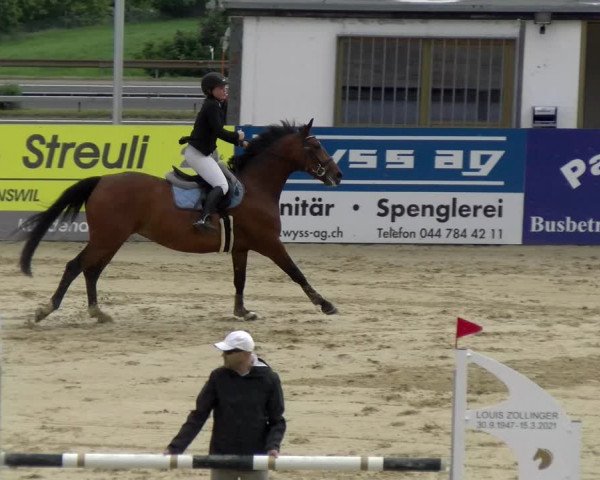 Reitturnier Wädenswil 2022