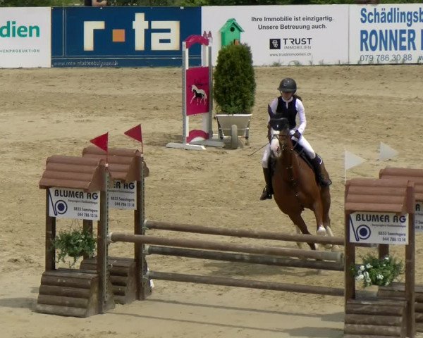 Reitturnier Wädenswil 2022