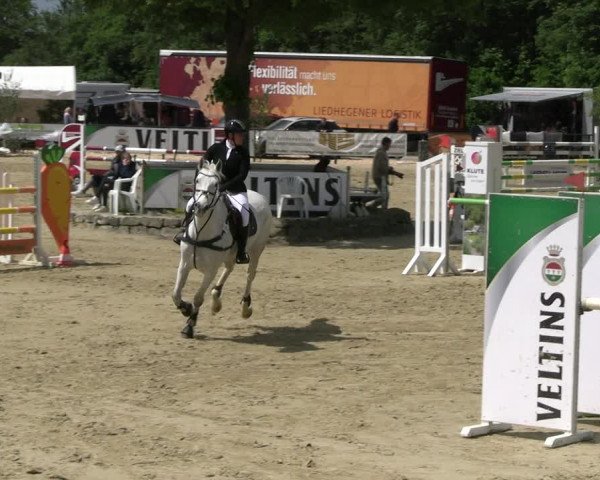 Reitturnier Hellefeld 2022