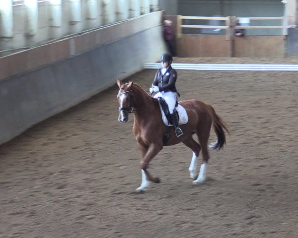 Reitturnier Kakerbeck 2022