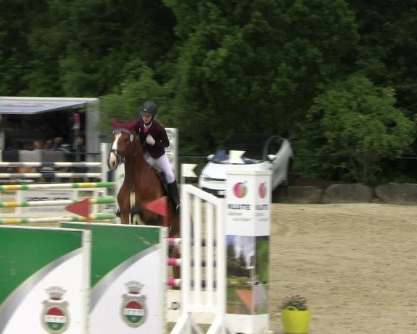 Reitturnier Hellefeld 2022