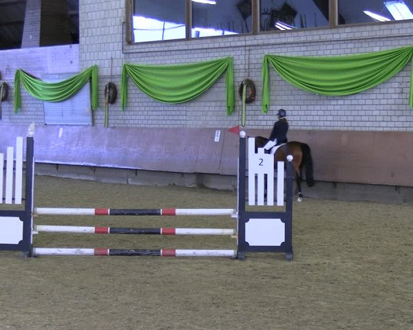 Reitturnier Hellefeld 2022