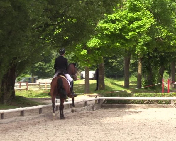Reitturnier Hamm-Rhynern 2022