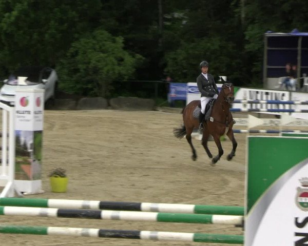 Reitturnier Hellefeld 2022