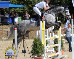 jumper Loi Dor (Westphalian, 2001, from Lamerto H)