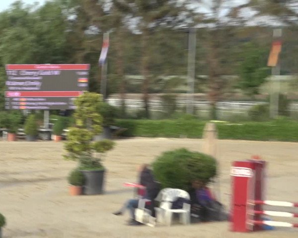 Reitturnier Bornheim-Widdig 2022