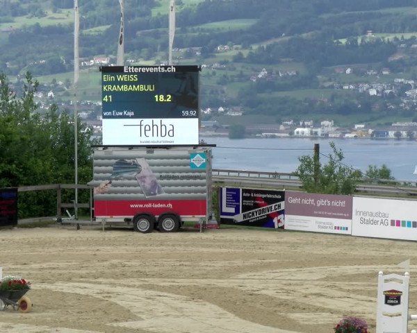 Reitturnier Wädenswil 2022