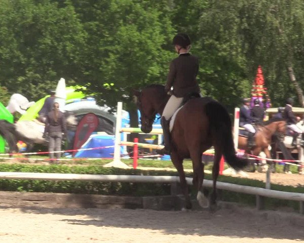 Reitturnier Hamm-Rhynern 2022