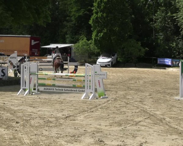 Reitturnier Hellefeld 2022